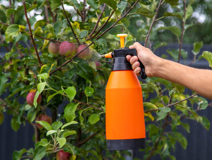 Jaki opryskiwacz akumulatorowy kupić? Poradnik