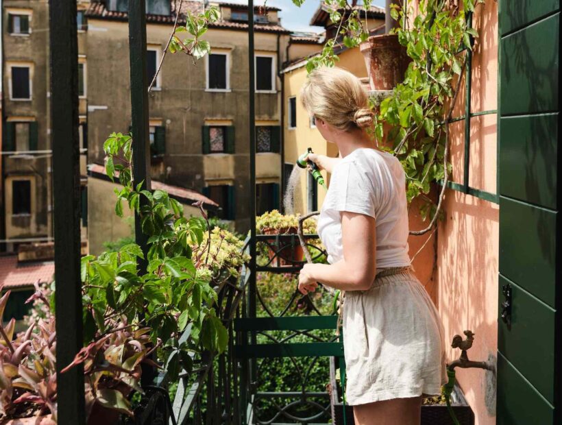 Bluszcz na balkonie – wybór, sadzenie, pielęgnacja, aranżacje. Kompleksowy poradnik