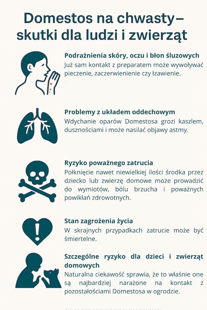 domestos na chwasty - zagrożenie dla ludzi i zwierząt 