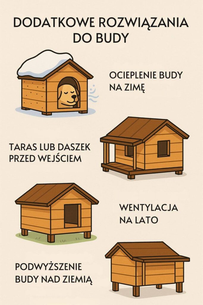 Jak udoskonalić budę dla psa? Wskazówki