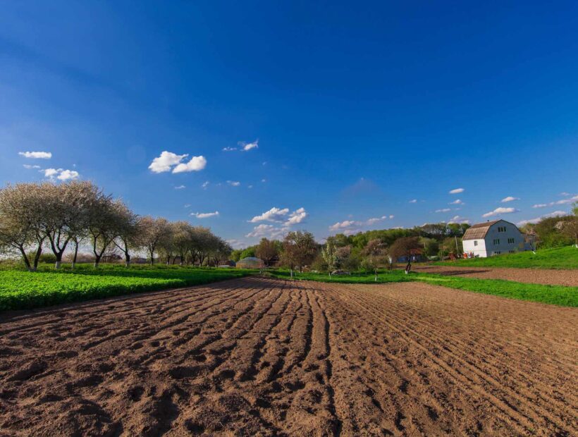 1 hektar – ile to m2? Kalkulator online