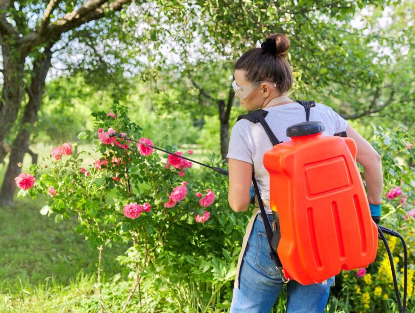 Jaki opryskiwacz do ogrodu? Poradnik